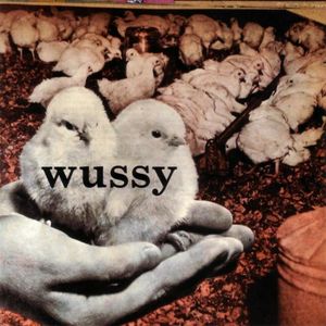 Wussy album cover