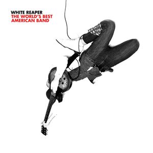 The World’s Best American Band album cover