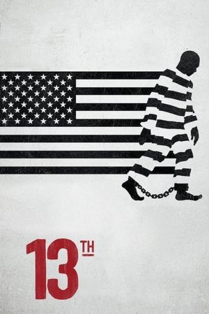 13th film poster