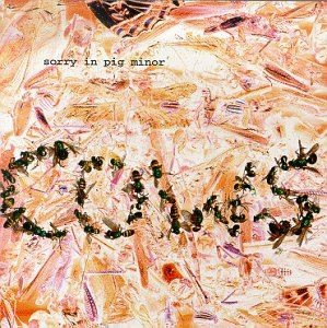 Sorry in Pig Minor album cover