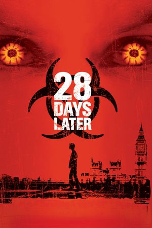 28 Days Later film poster