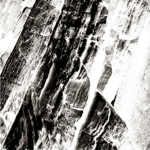 Hissing Veil album cover