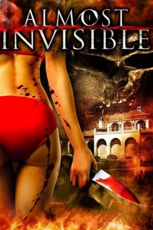 Almost Invisible film poster