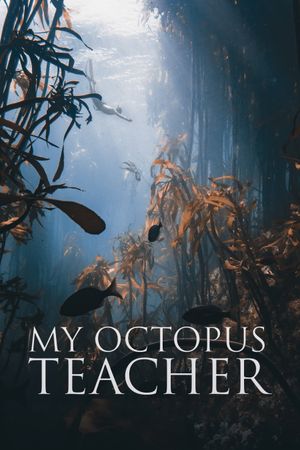 My Octopus Teacher film poster