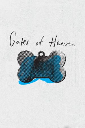 Gates of Heaven film poster
