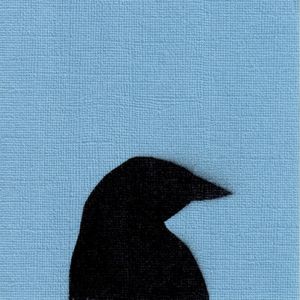 Imperfecta album cover