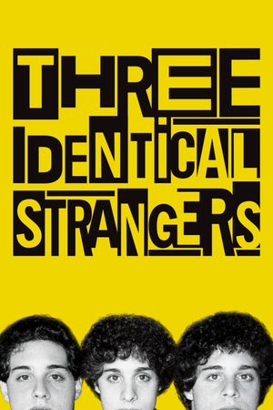 Three Identical Strangers film poster