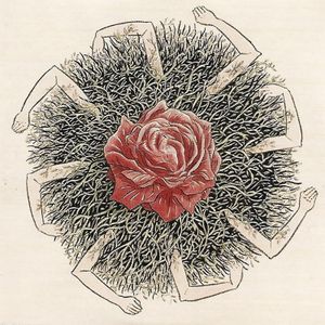 Gentleness of Nothing album cover