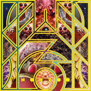 Wazoo album cover