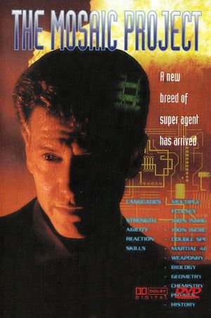 The Mosaic Project film poster