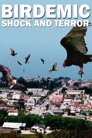 Birdemic: Shock and Terror film poster