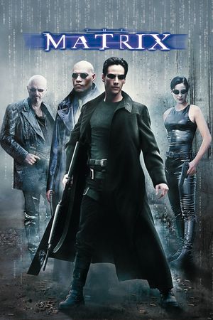 The Matrix film poster