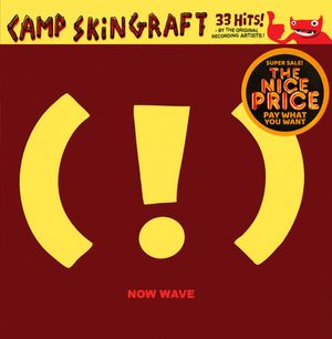 Camp Skin Graft: Now Wave album cover