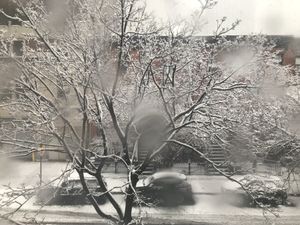 A snowy street