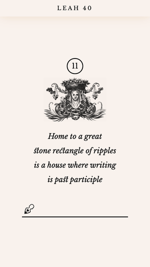 Screenshot from the Leah 40 web app