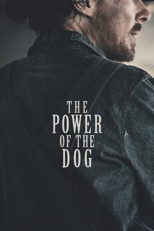 The Power of the Dog film poster