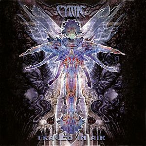 Traced in Air album cover