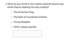 Survey question: What do you think is the media’s favorite food to eat while they’re treating me very unfairly? Options: The American flag, The flesh of murdered children, Trump Steaks®, Other.
