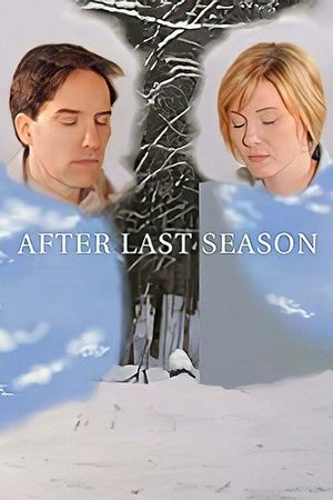 After Last Season film poster
