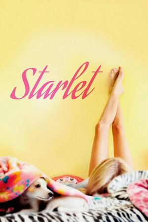 Starlet film poster
