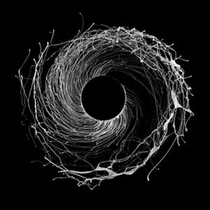 Dysnomia album cover