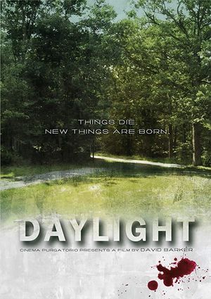 Daylight film poster