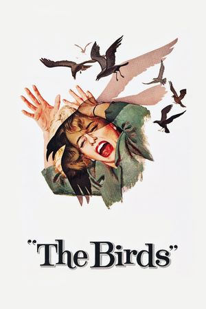 The Birds film poster