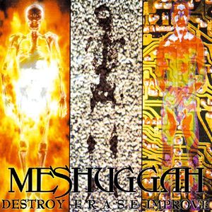 Destroy Erase Improve album cover
