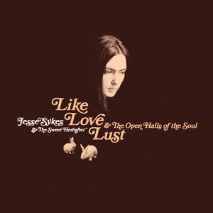 Like, Love, Lust & The Open Halls of the Soul album cover