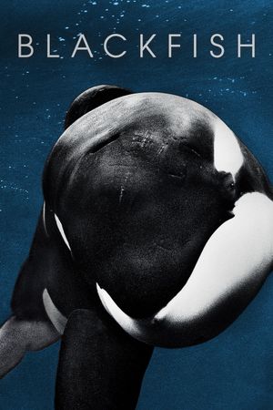 Blackfish film poster