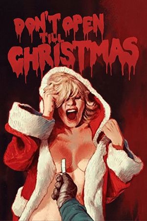 Don't Open Till Christmas film poster