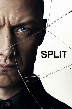 Split film poster