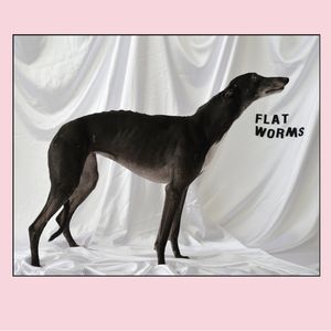 Flat Worms album cover