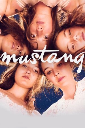 Mustang film poster